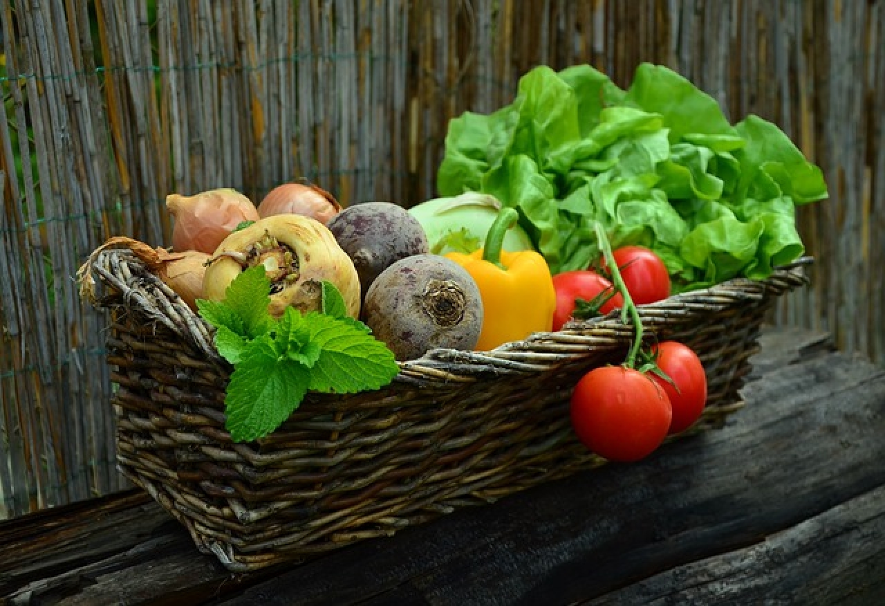 Co warto wiedzieć o warzywach gruntowych?