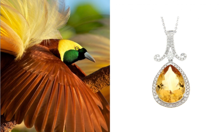 Birds of Paradise – The opulent new jewellery collection created by Hinna Azeem